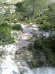 Imagen0126 (Peque&#241;a).jpg