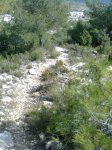 Imagen0120 (Peque&#241;a).jpg