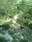 Imagen0125 (Peque&#241;a).jpg