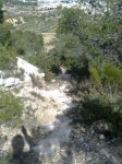 Imagen0123 (Peque&#241;a).jpg