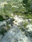 Imagen0127 (Peque&#241;a).jpg