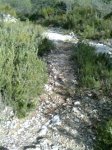 Imagen0122 (Peque&#241;a).jpg