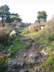 Imagen 074.jpg
