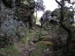 DSCF2453.JPG