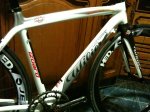 wilier2 (Large).jpg