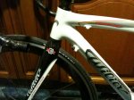 wilier3 (Large).jpg