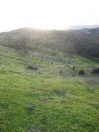 Imagen 079.jpg