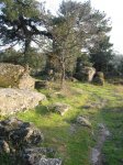 Imagen 073.jpg