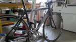 lapierre (Large).jpg