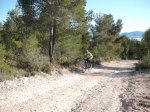 DSCF8287 (Copiar).JPG