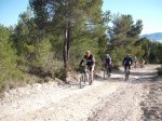 DSCF8281 (Copiar).JPG