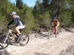 DSCF8285 (Copiar).JPG