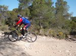 DSCF8297 (Copiar).JPG