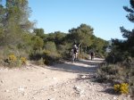 DSCF8294 (Copiar).JPG
