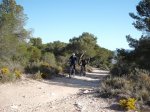 DSCF8290 (Copiar).JPG