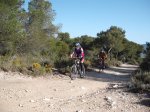 DSCF8296 (Copiar).JPG