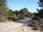 DSCF8299 (Copiar).JPG