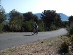 DSCF8302 (Copiar).JPG