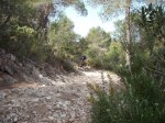 DSCF8315 (Copiar).JPG