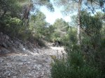 DSCF8317 (Copiar).JPG