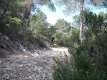 DSCF8306 (Copiar).JPG