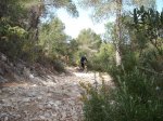 DSCF8308 (Copiar).JPG
