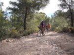 DSCF8320 (Copiar).JPG