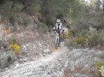 DSCF8330 (Copiar).JPG