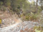 DSCF8329 (Copiar).JPG