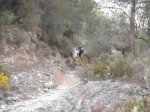 DSCF8324 (Copiar).JPG