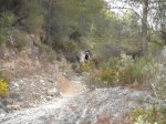 DSCF8331 (Copiar).JPG