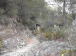 DSCF8326 (Copiar).JPG