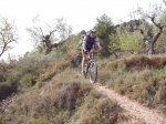 DSCF8344 (Copiar).JPG