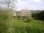 020420111390.jpg