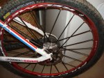 scott 083.jpg