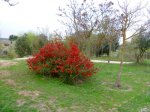 Foto18.JPG