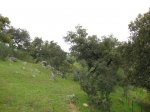 IMG_5434.jpg