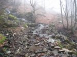 RUTA BRA&#209;AGALLONES (71).jpg