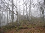 RUTA BRA&#209;AGALLONES (69).jpg