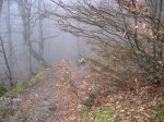RUTA BRA&#209;AGALLONES (70).jpg