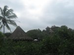 IMG_09621.JPG
