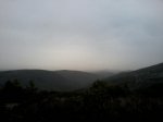 Foto0391.jpg