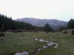Foto0403.jpg