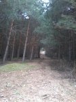 Foto0394.jpg