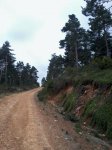 Foto0406.jpg
