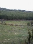Foto0401.jpg