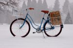 portland-bikes-4.jpg