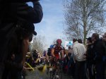 boonen 3.JPG