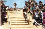 tomaccasadecampo1994.jpg
