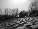 tour of flanders.jpg